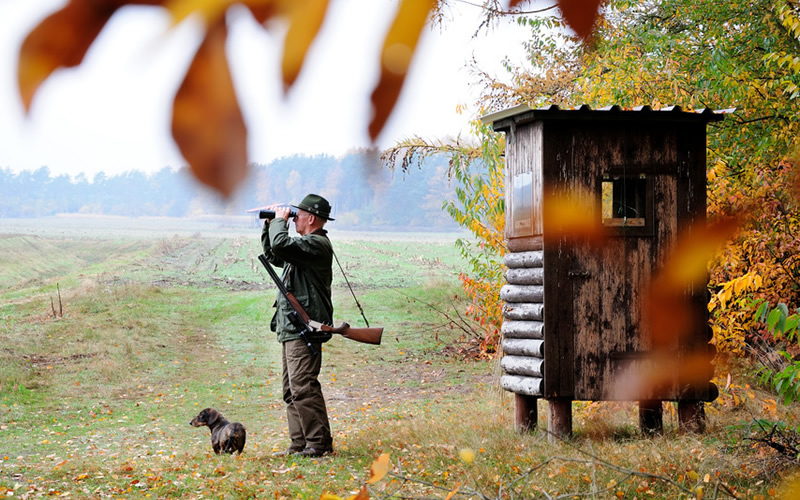 Insektenschutzmittel für Jagd & Forst