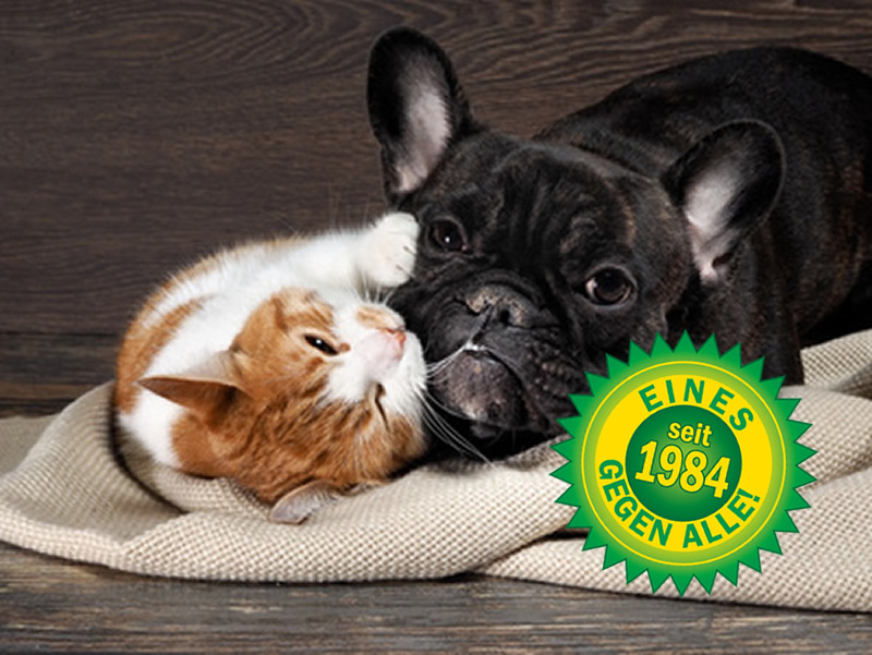 INSECTICIDE 2000 Hund, Katze & Co. INSECTICIDE 2000 Hund, Katze & Co.